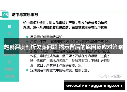 赵鹏深度剖析欠薪问题 揭示背后的原因及应对策略