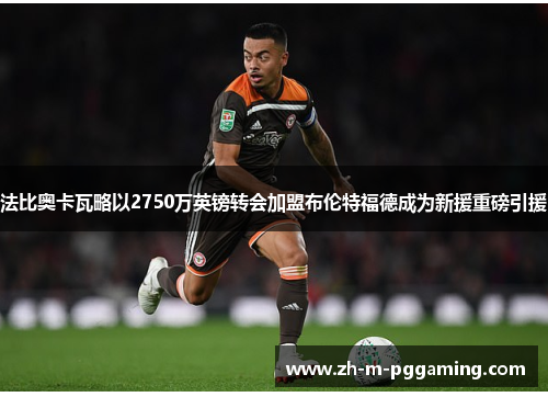 法比奥卡瓦略以2750万英镑转会加盟布伦特福德成为新援重磅引援