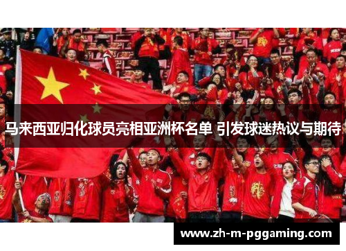 马来西亚归化球员亮相亚洲杯名单 引发球迷热议与期待