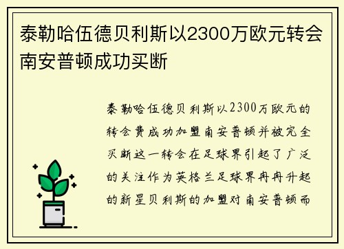 泰勒哈伍德贝利斯以2300万欧元转会南安普顿成功买断 泰勒哈伍德贝利斯以2300万欧元转会南安普顿成功买断